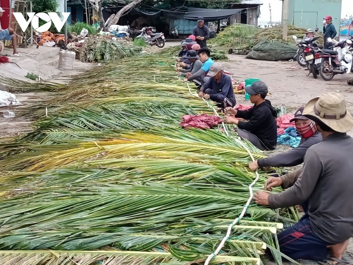 Đây là các loại lá bình dân, dễ thấy đang được dân Bình Thuận chặt xuống, đan lại để &quot;làm nhà cho cá&quot; - Ảnh 1.