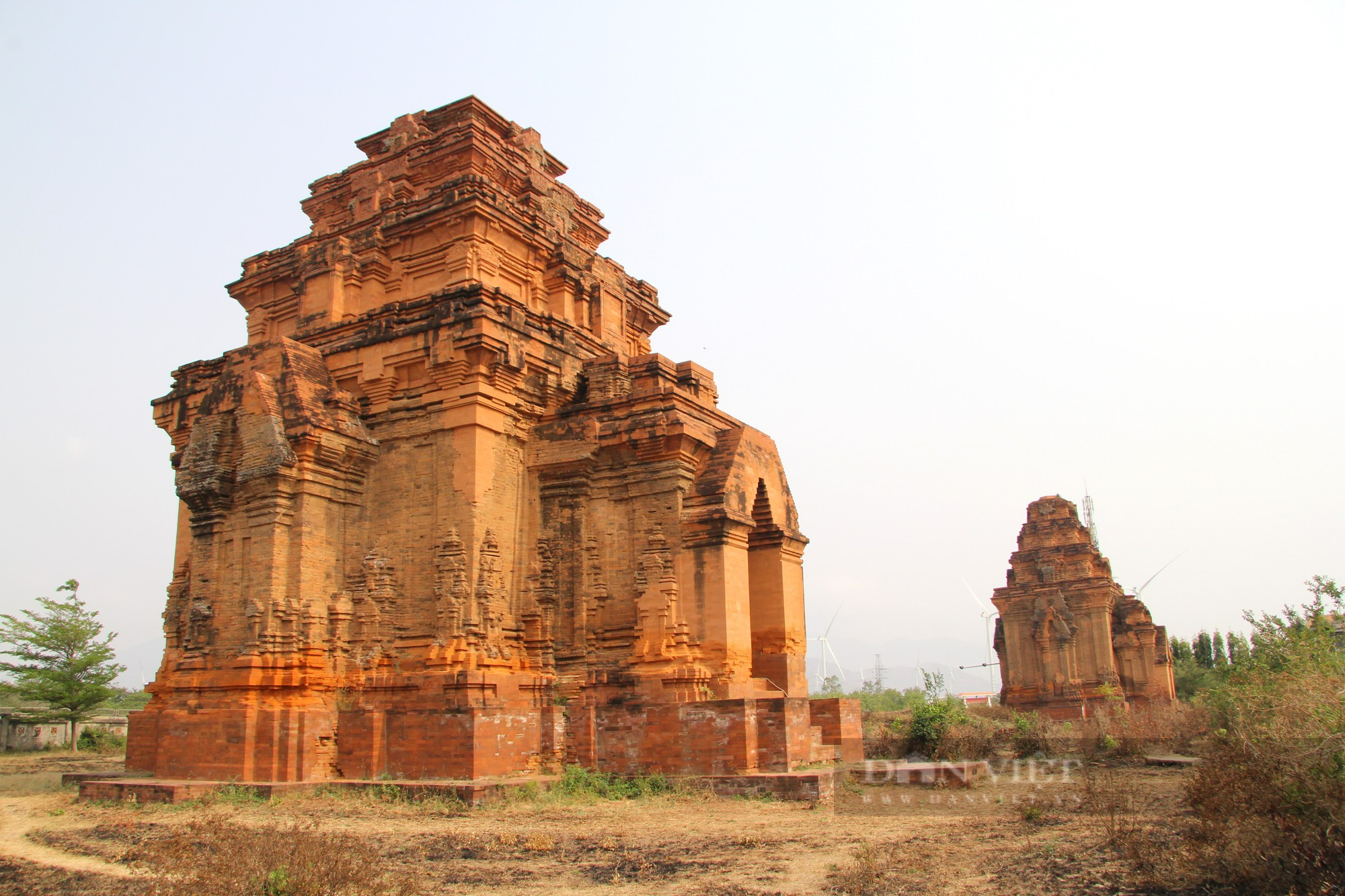 Bí ẩn tháp Chăm cổ “bị bỏ rơi” lại là nơi lưu giữ bảo vật Quốc gia có một không hai ở Ninh Thuận - Ảnh 1.