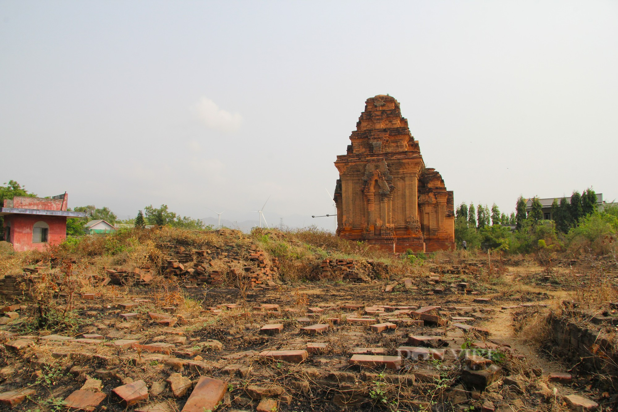 Bí ẩn tháp Chăm cổ “bị bỏ rơi” lại là nơi lưu giữ bảo vật Quốc gia có một không hai ở Ninh Thuận - Ảnh 4.