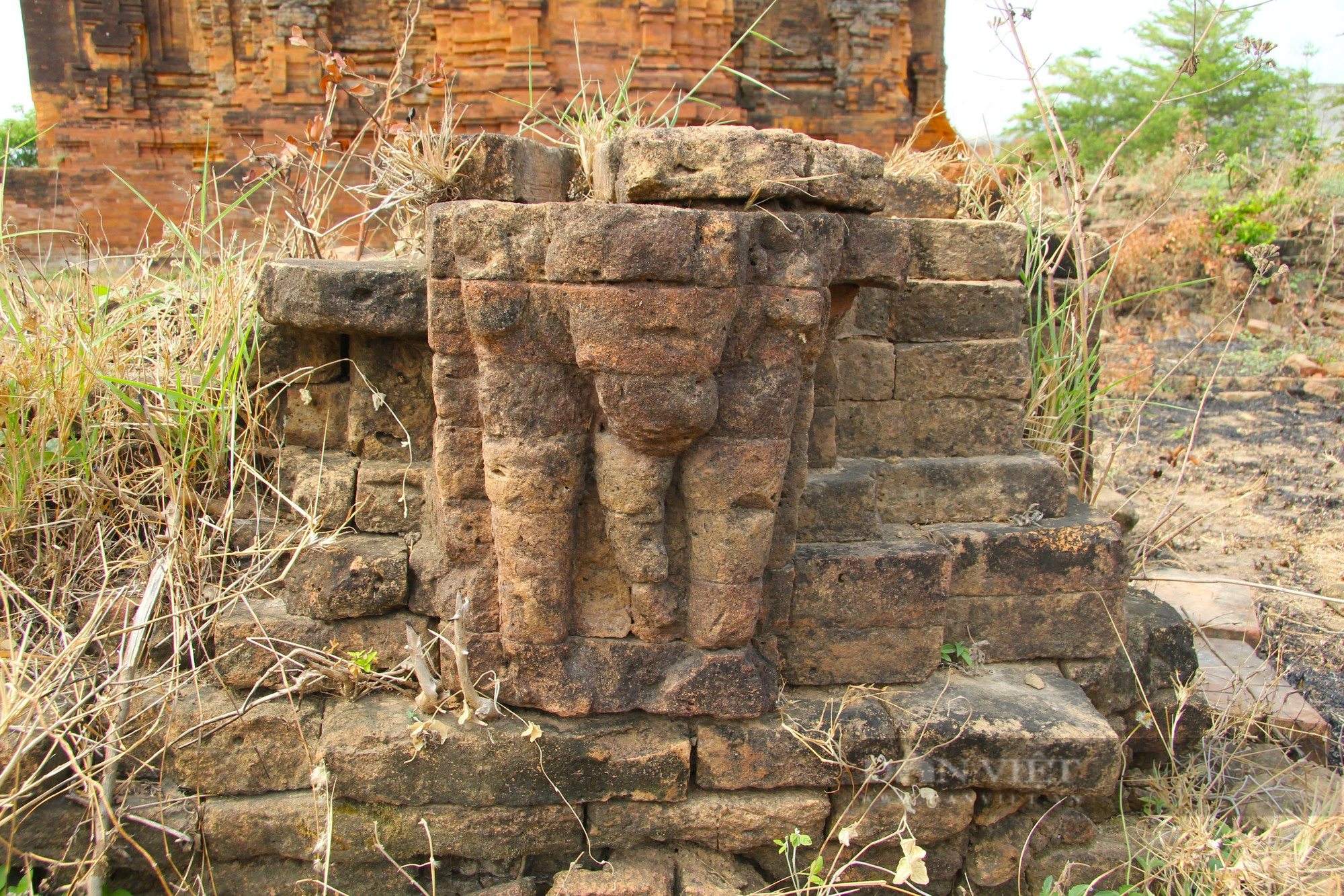 Bí ẩn tháp Chăm cổ “bị bỏ rơi” lại là nơi lưu giữ bảo vật Quốc gia có một không hai ở Ninh Thuận - Ảnh 11.