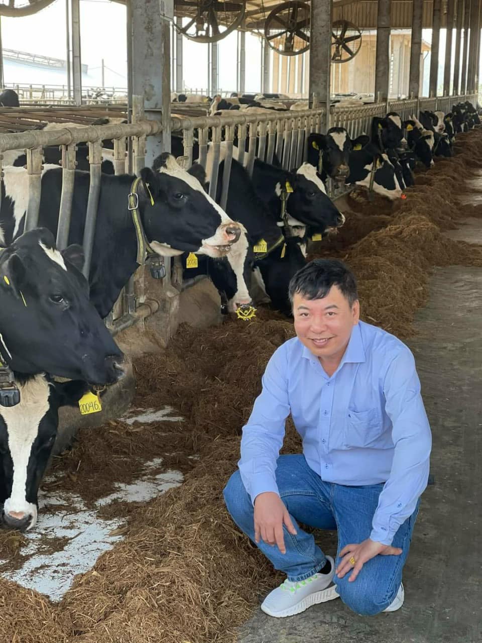 Một công ty chăn nuôi bò ở Tuyên Quang  đạt 2 chứng nhận khó  - Ảnh 2.