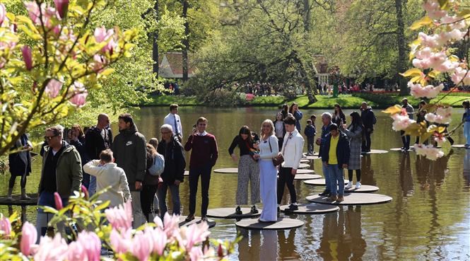 Vườn hoa tuylip nổi tiếng nhất thế giới tại Hà Lan đẹp cỡ nào? - Ảnh 4.