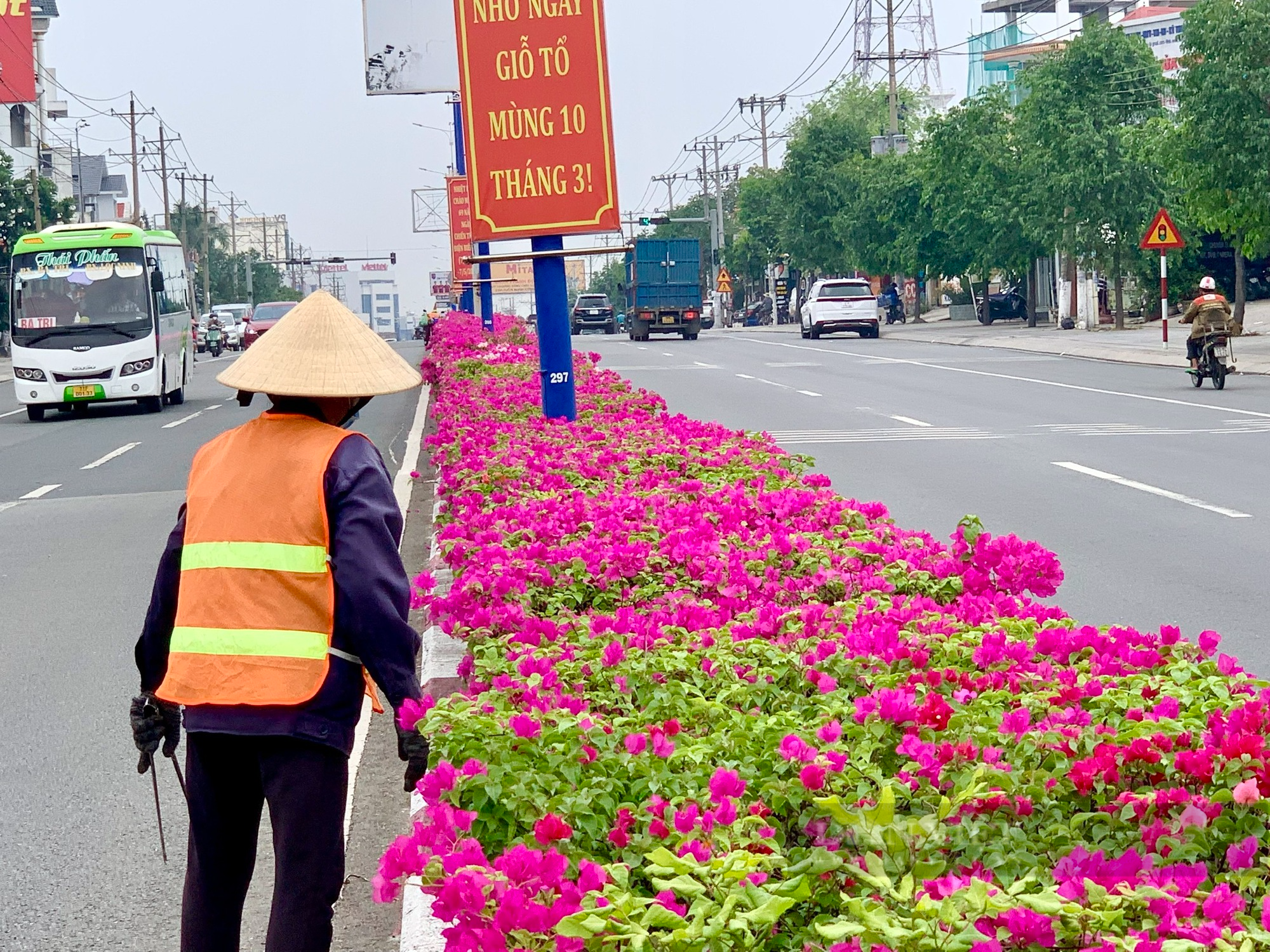 Ngắm tuyến đường hoa nở rộ, khoe sắc tại Bình Dương - Ảnh 5.