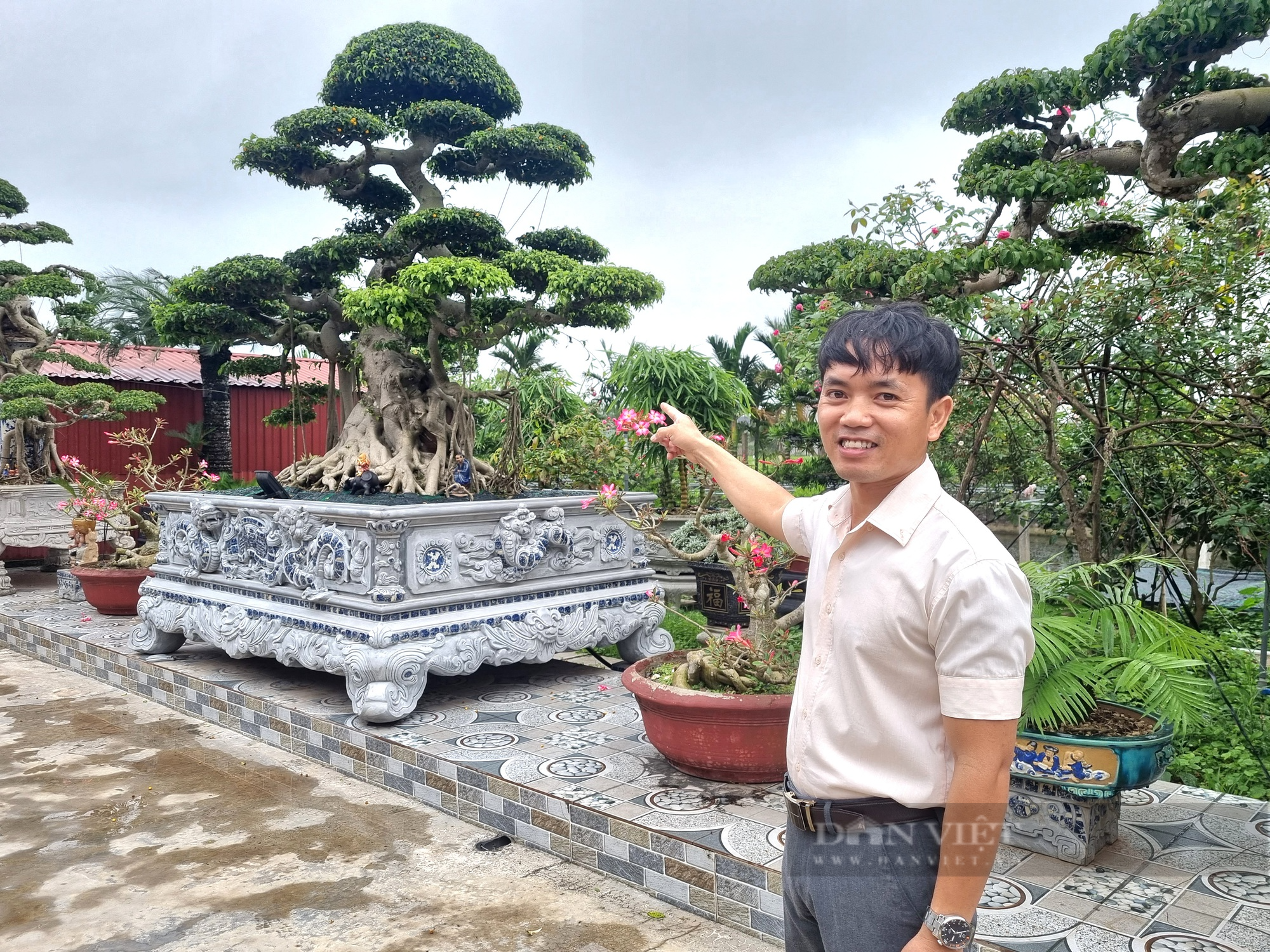 Cây sanh cổ hội tụ “cổ kỳ mỹ văn” giá gần 2 tỉ đồng ở Ninh Bình - Ảnh 2.