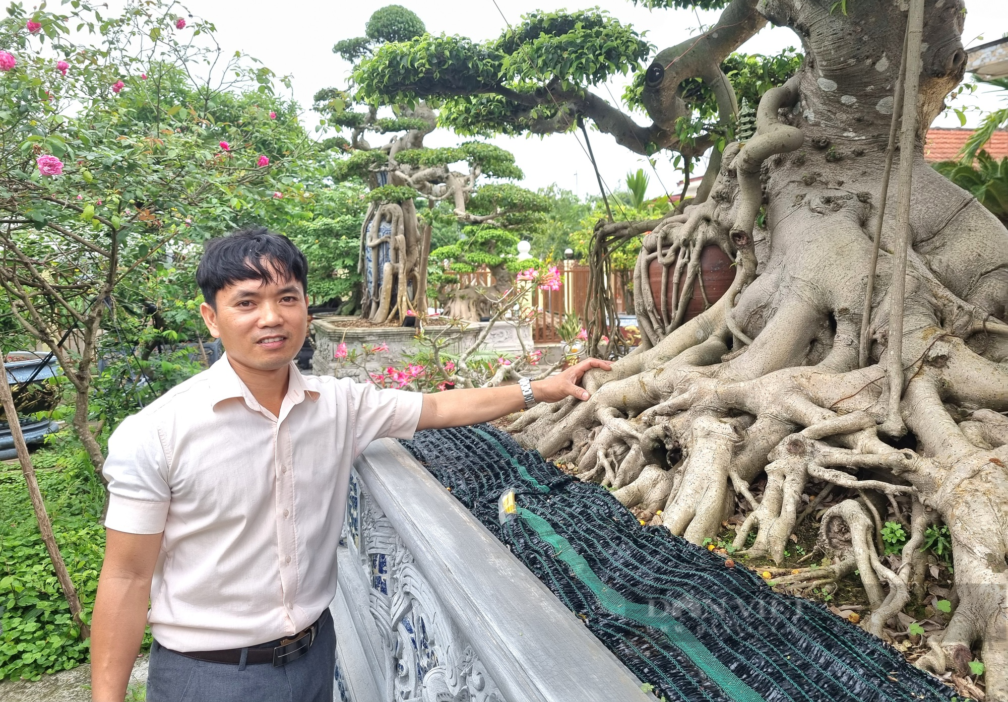 Cây sanh cổ hội tụ “cổ kỳ mỹ văn” giá gần 2 tỉ đồng ở Ninh Bình - Ảnh 10.