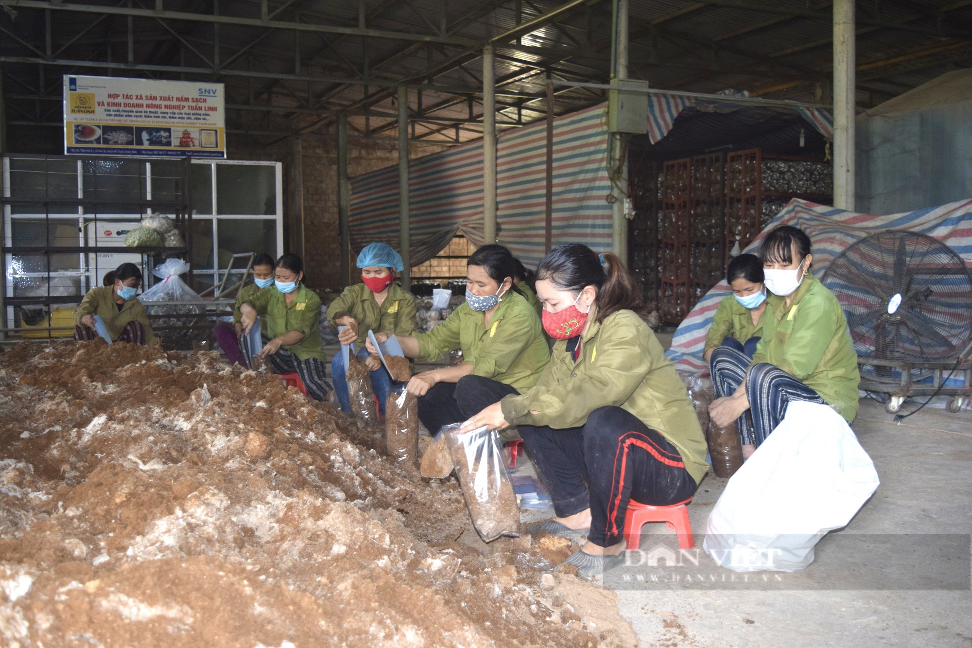 Quảng Bình: Nông dân này lập Hợp tác xã cùng bà con làm giàu từ nấm và miệt mài đi truyền nghề cho người nghèo - Ảnh 7.