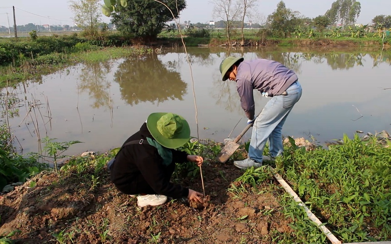 Việt Nam lên tiếng về thông tin nhà hoạt động môi trường nổi tiếng Hoàng Thị Minh Hồng bị tạm giữ