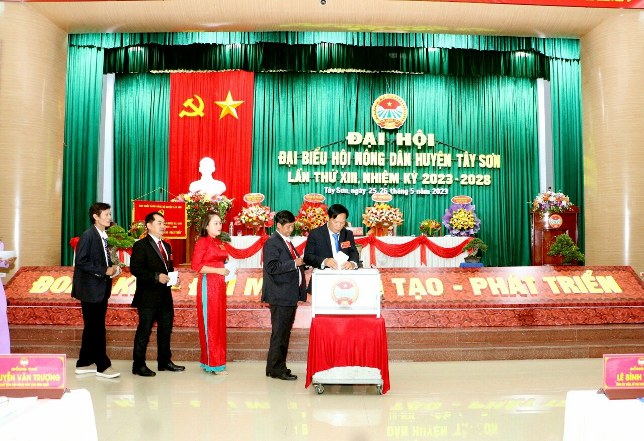 Bình Định: Đại hội Hội Nông dân huyện Tây Sơn, ông Trần Văn Lượng tái đắc cử Chủ tịch - Ảnh 3.