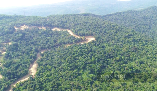 Giao công an điều tra vụ chặt phá rừng Kfw6 trái phép để Tập đoàn Đèo Cả mở đường   - Ảnh 1.