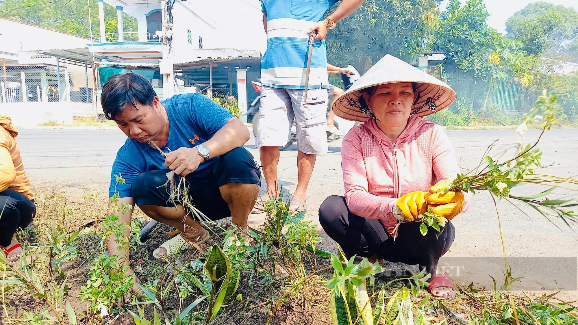 TP HCM: Những tuyến đường hoa đẹp như tranh ở &quot;đất thép&quot; Củ Chi - Ảnh 1.