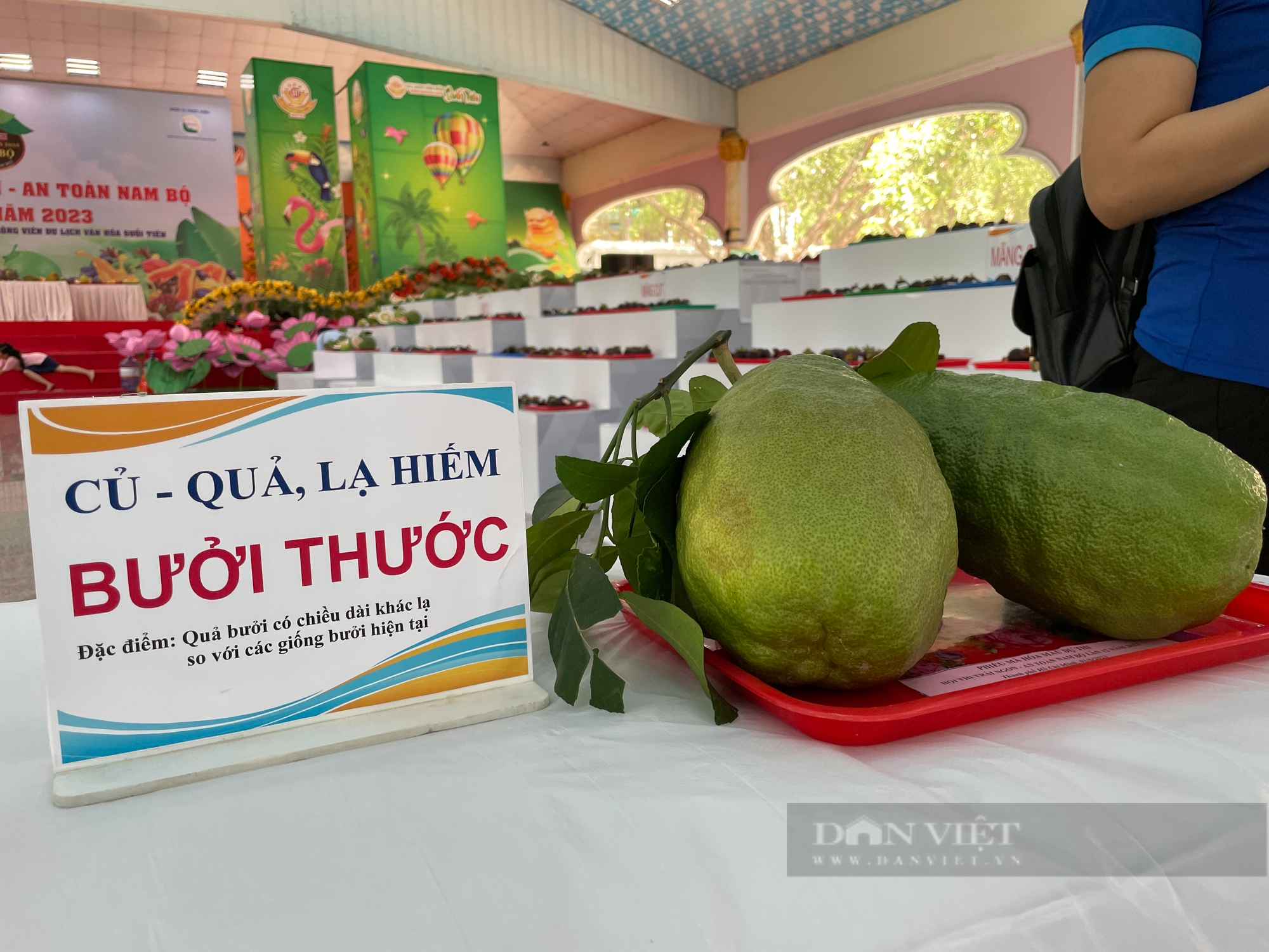 Trái dừa 6kg, bí đao khổng lồ gây sốt tại TP.HCM - Ảnh 4.