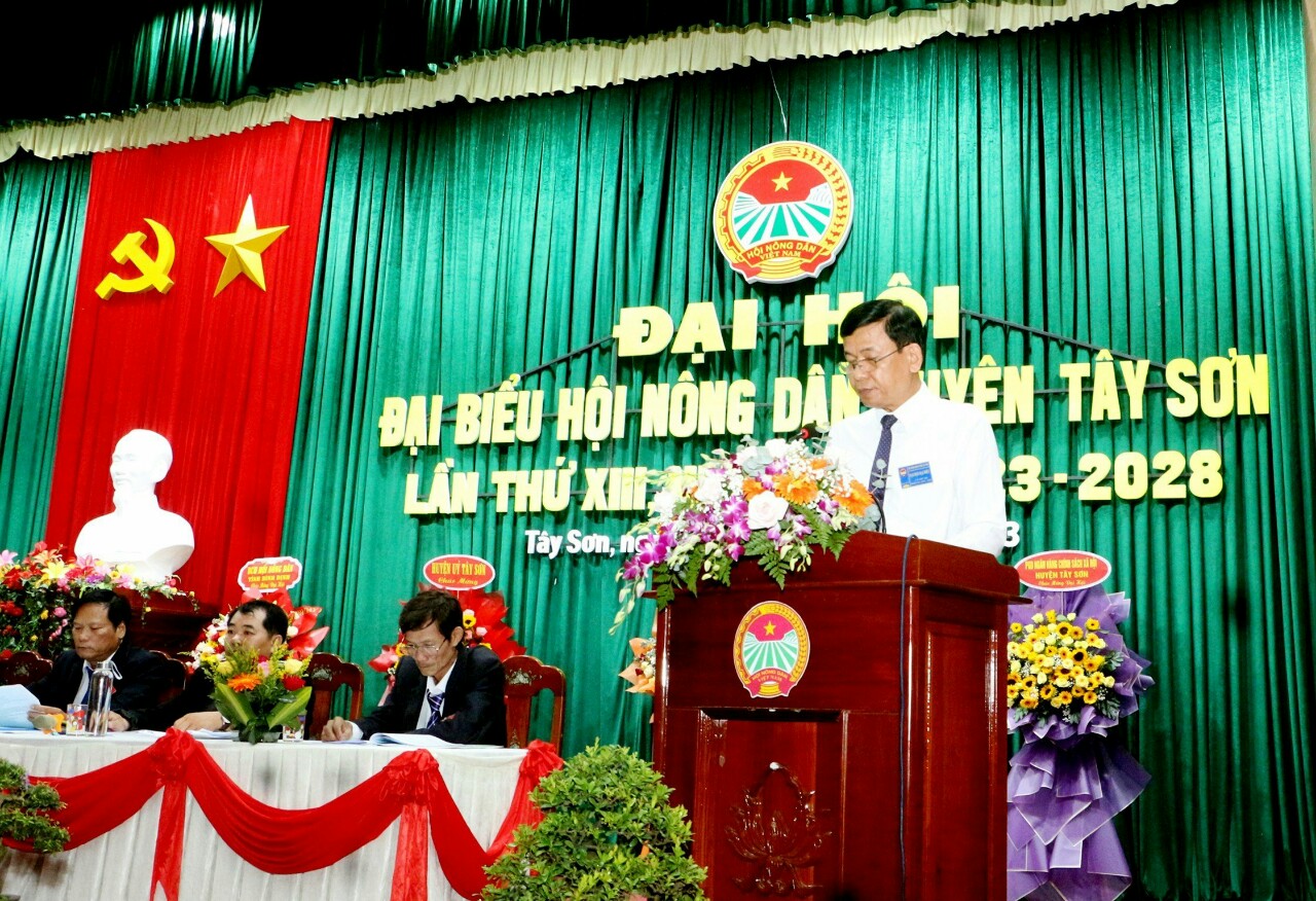 Bình Định: Đại hội Hội Nông dân huyện Tây Sơn, ông Trần Văn Lượng tái đắc cử Chủ tịch - Ảnh 4.