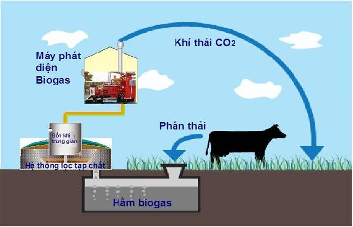 Để chất thải trong chăn nuôi không phải là đồ bỏ đi - Ảnh 4.