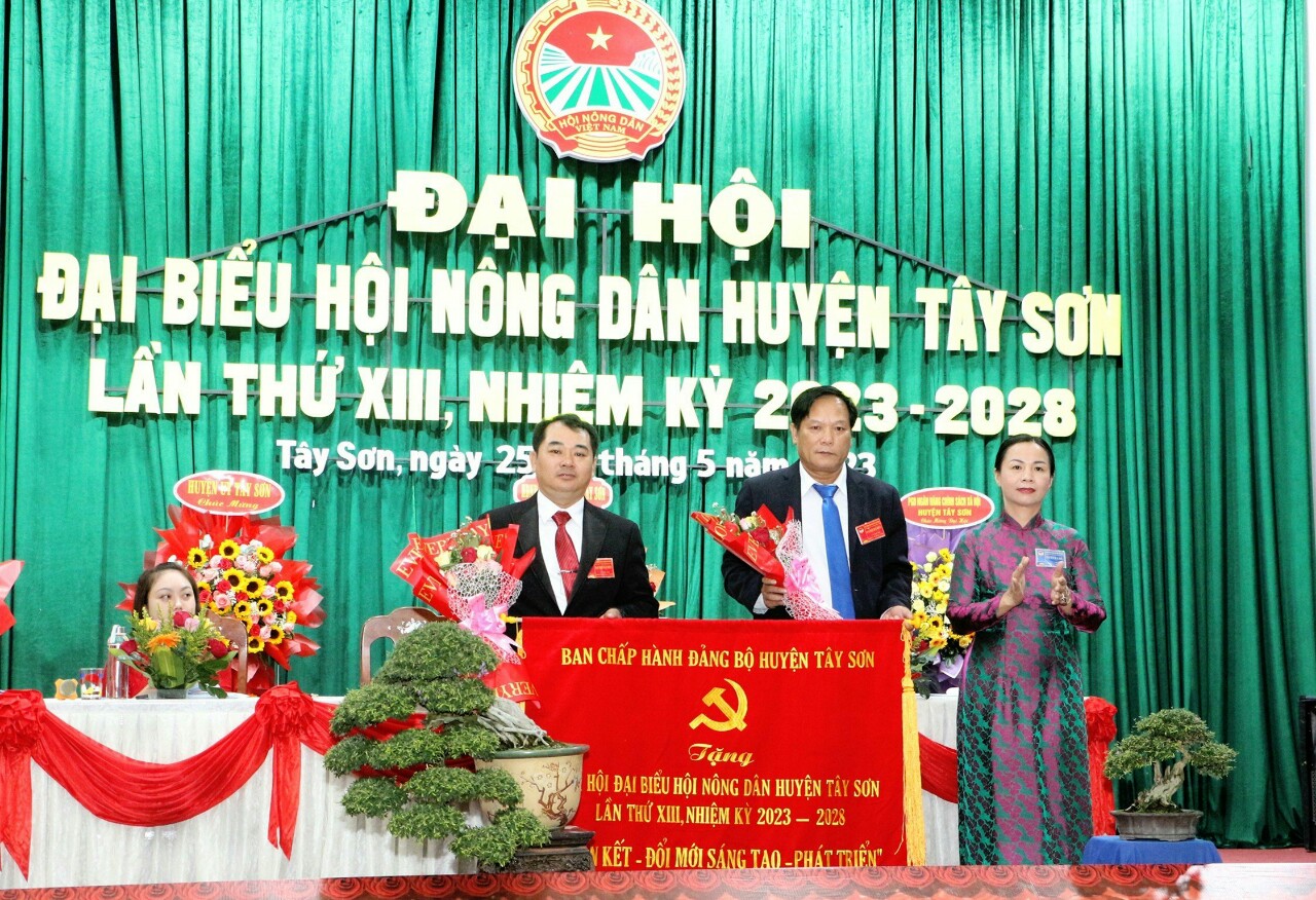 Bình Định: Đại hội Hội Nông dân huyện Tây Sơn, ông Trần Văn Lượng tái đắc cử Chủ tịch - Ảnh 6.