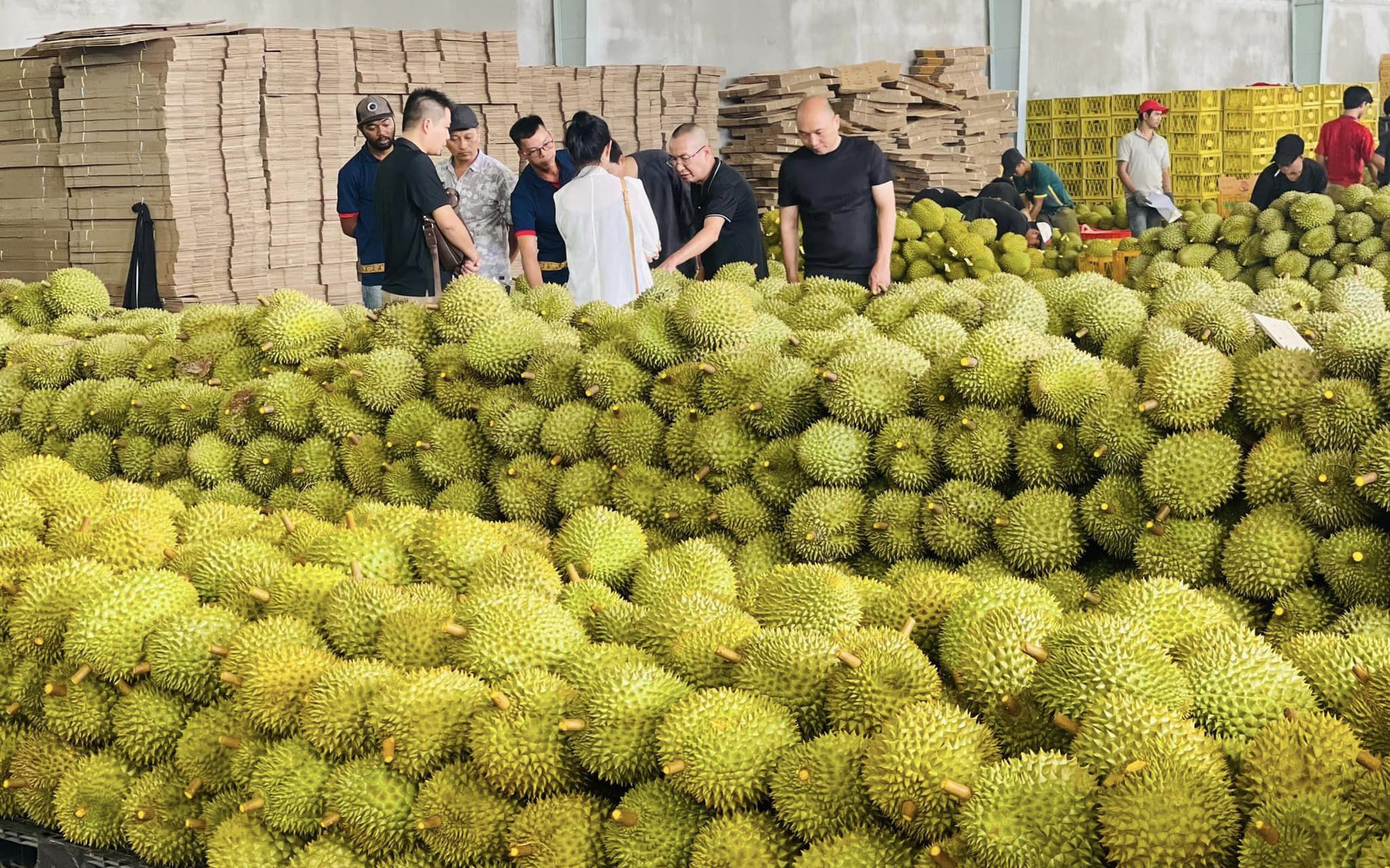 Sầu riêng, măng cụt, thanh long... đổ về cửa khẩu Lạng Sơn, Thủ tướng yêu cầu cấp bách ngăn ùn ứ giữa nắng nóng