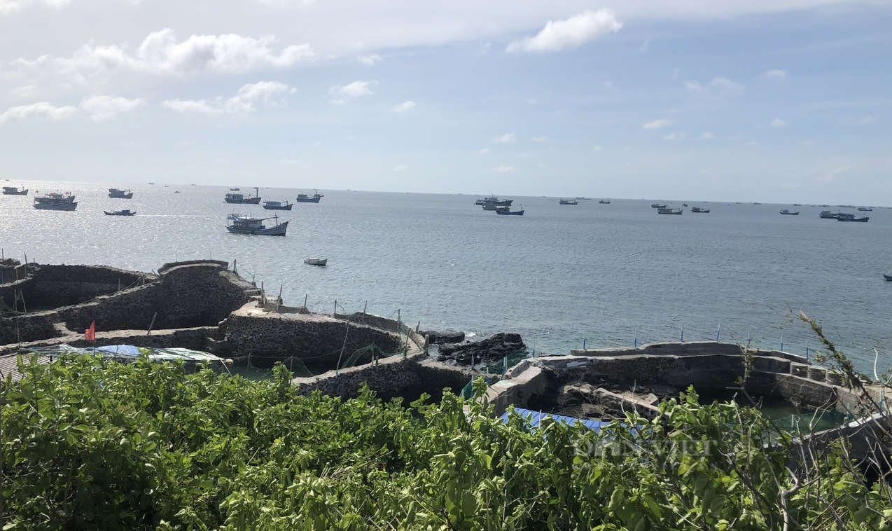 Đã cứu được 5 ngư dân trên tàu cá bị phá nước trôi trên vùng biển Phú Quý - Ảnh 1.