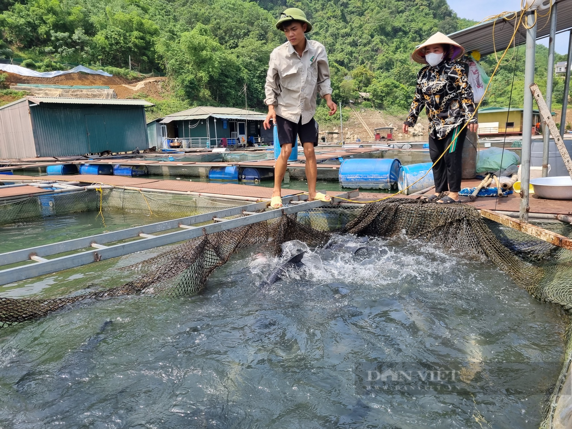 Mực nước hồ Thủy điện Hòa Bình không ảnh hưởng đến người nuôi cá lồng  - Ảnh 5.