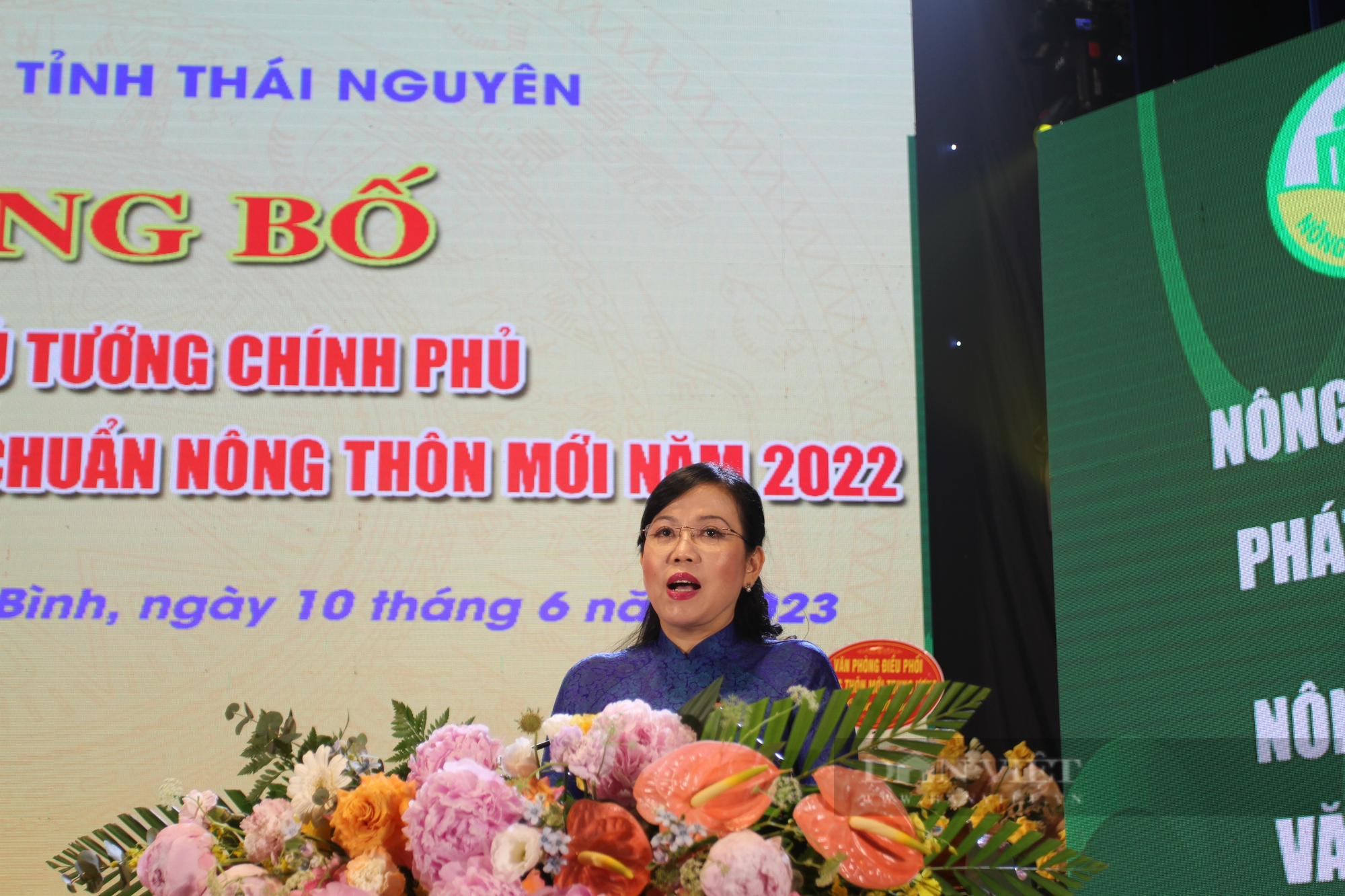 Huyện đầu tiên của tỉnh Thái Nguyên công bố quyết định đạt chuẩn nông thôn mới - Ảnh 4.