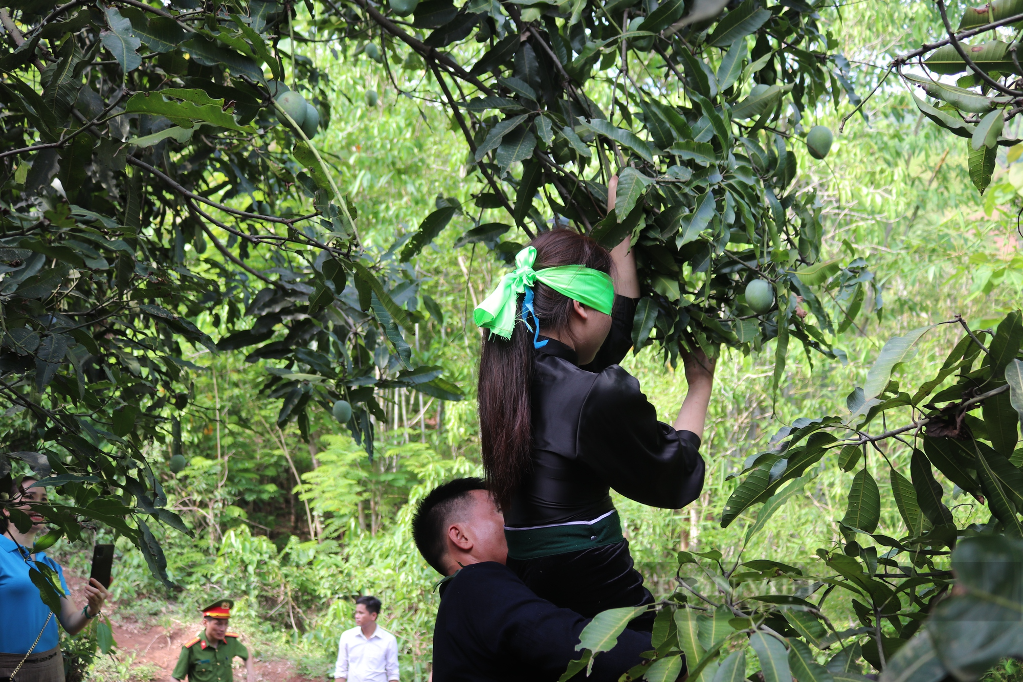 Ngày hội xoài Yên Châu: Đã mắt với phần thi bịt mắt hái xoài - Ảnh 13.