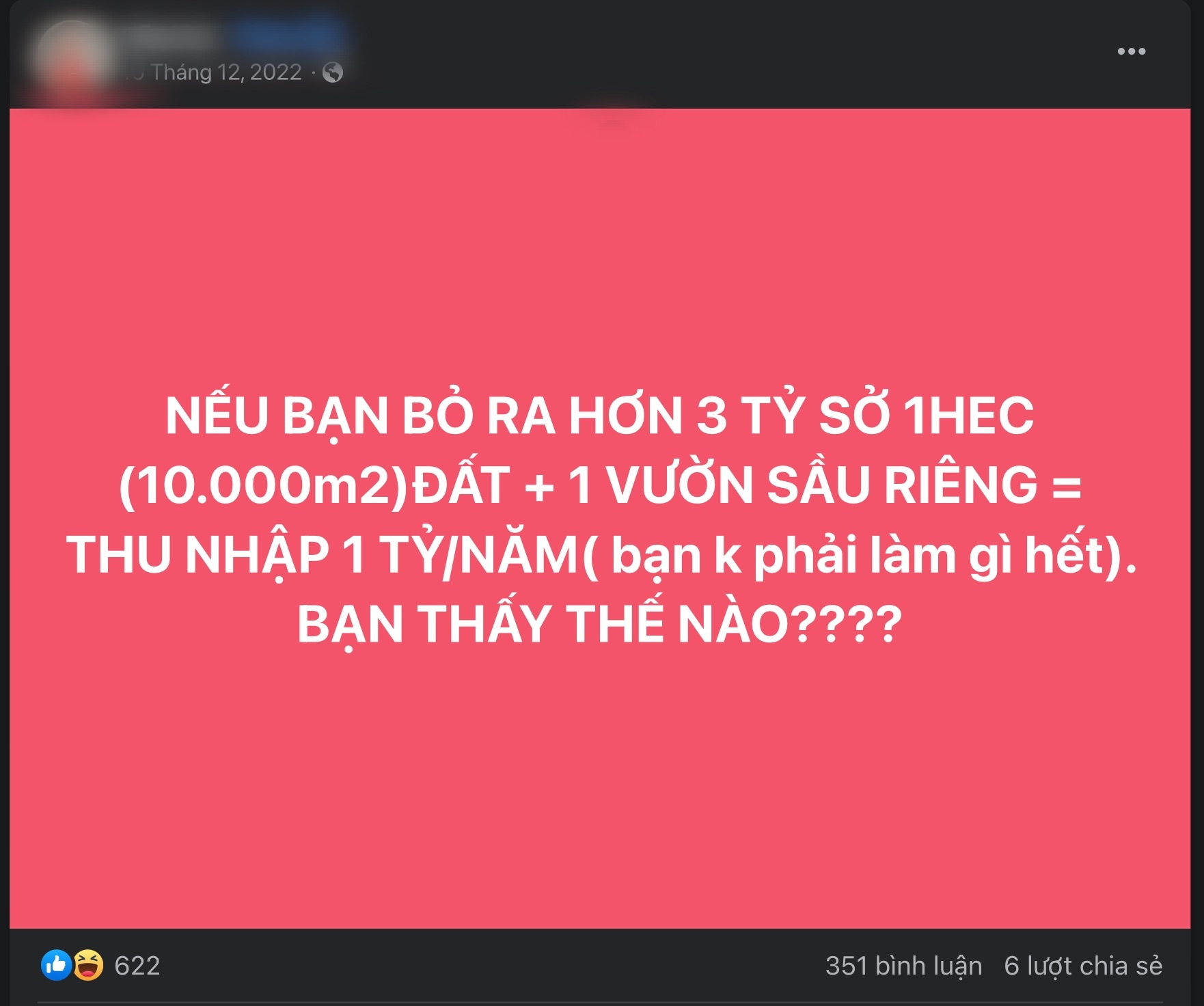 Tranh cãi về mức siêu lợi nhuận của ‘bất động sản’ sầu riêng - Ảnh 2.