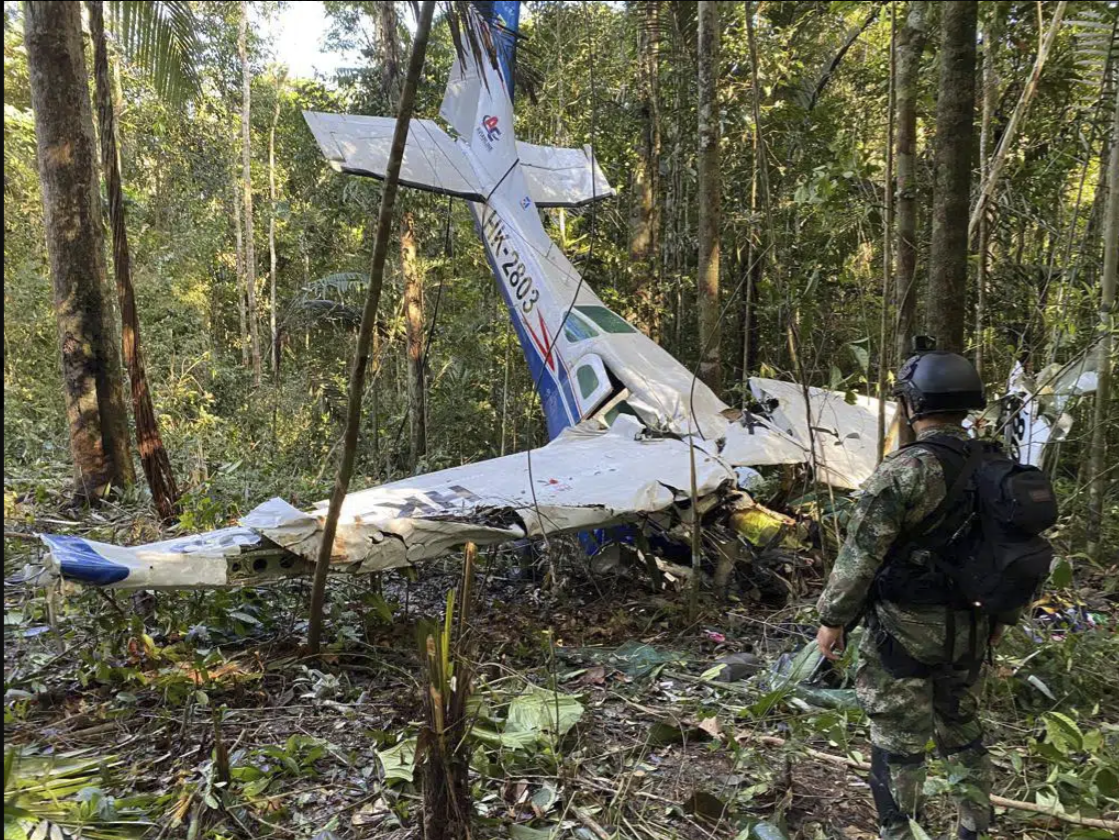 Bí mật khiến 4 đứa trẻ sống sót trong rừng rậm Amazon sau 40 ngày rơi máy bay - Ảnh 3.