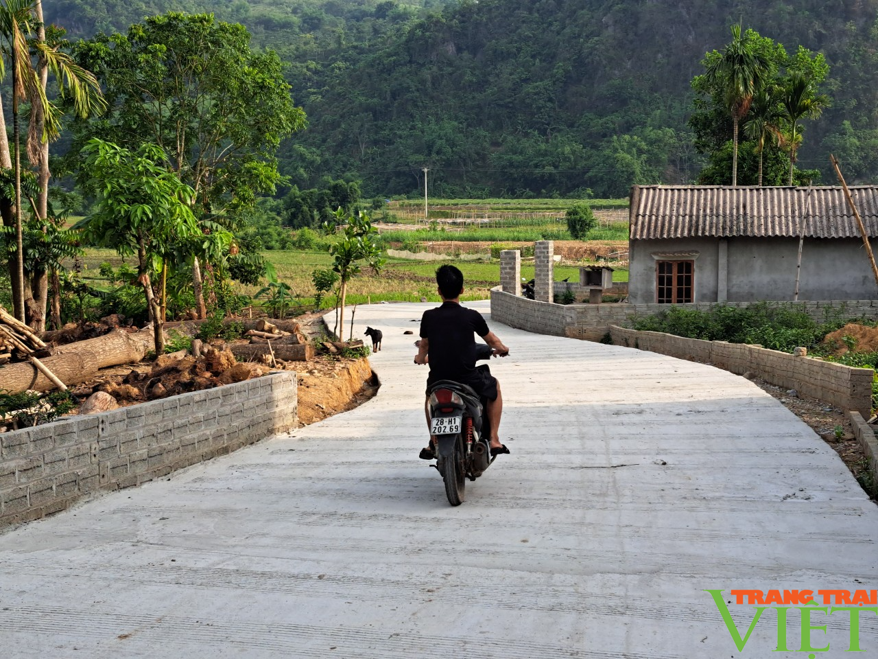 Xã vùng cao Độc Lập vượt khó, quyết tâm về đích nông thôn mới - Ảnh 1.