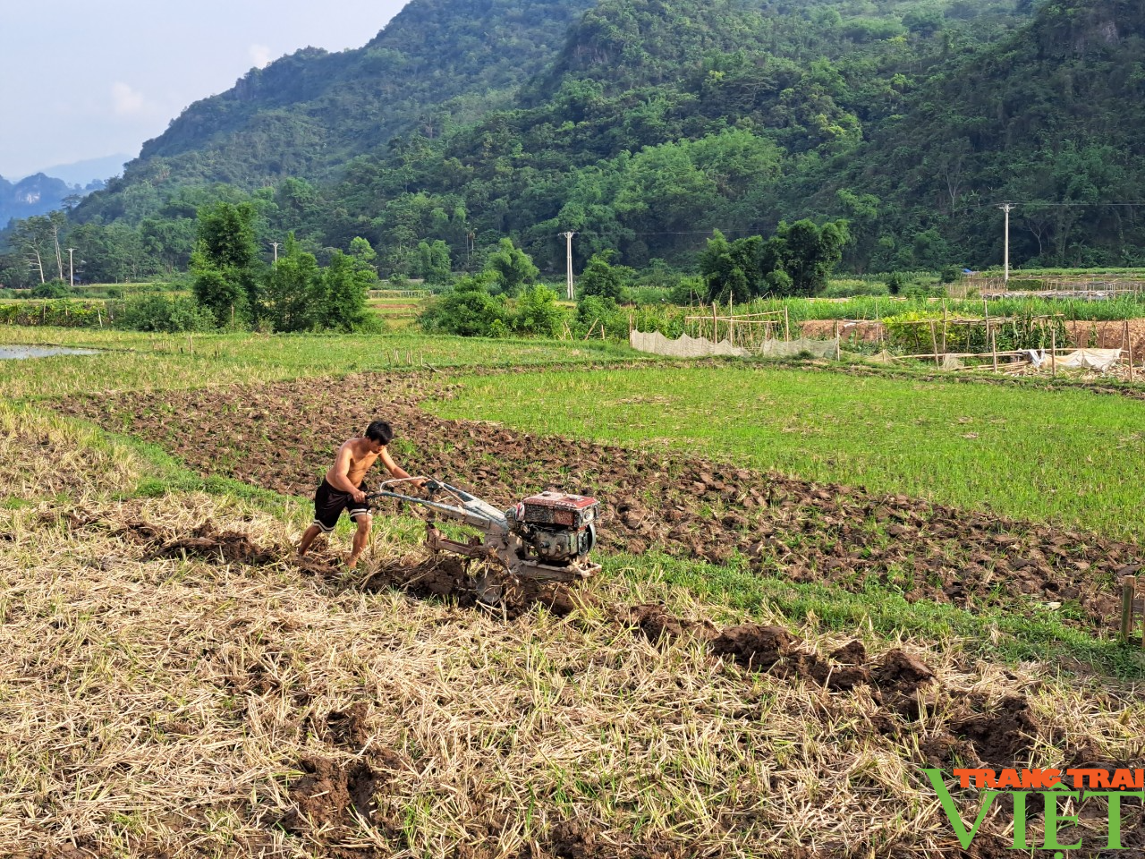 Xã vùng cao Độc Lập vượt khó, quyết tâm về đích nông thôn mới - Ảnh 3.