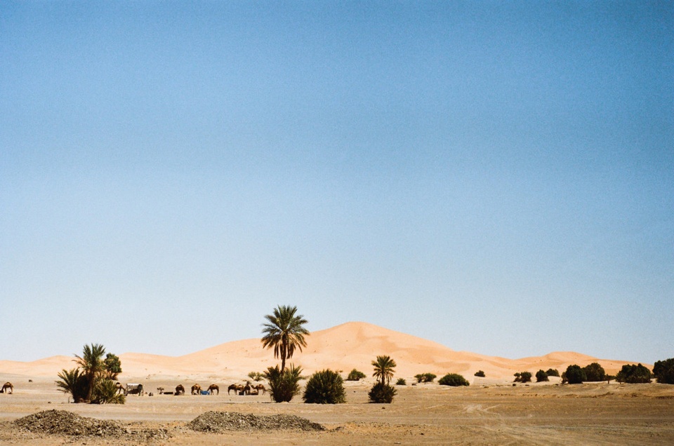 Những sự thật cực kỳ thú vị về sa mạc Sahara ít ai biết - Ảnh 13.