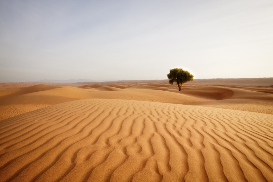 Những sự thật cực kỳ thú vị về sa mạc Sahara ít ai biết - Ảnh 14.