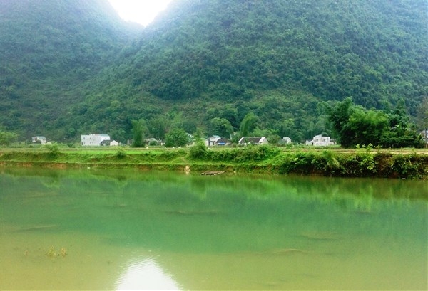Một dòng sông nổi tiếng ở Cao Bằng, lạ nhất là bốn mùa nước trong xanhm, cảnh đẹp như phim - Ảnh 1.