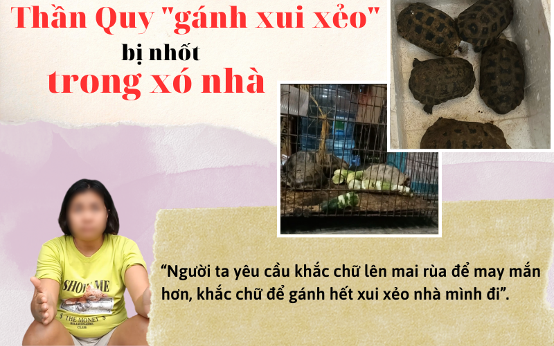 Bài 2: Nỗi oan của “thần dược” trong tay những con buôn - Ảnh 5.