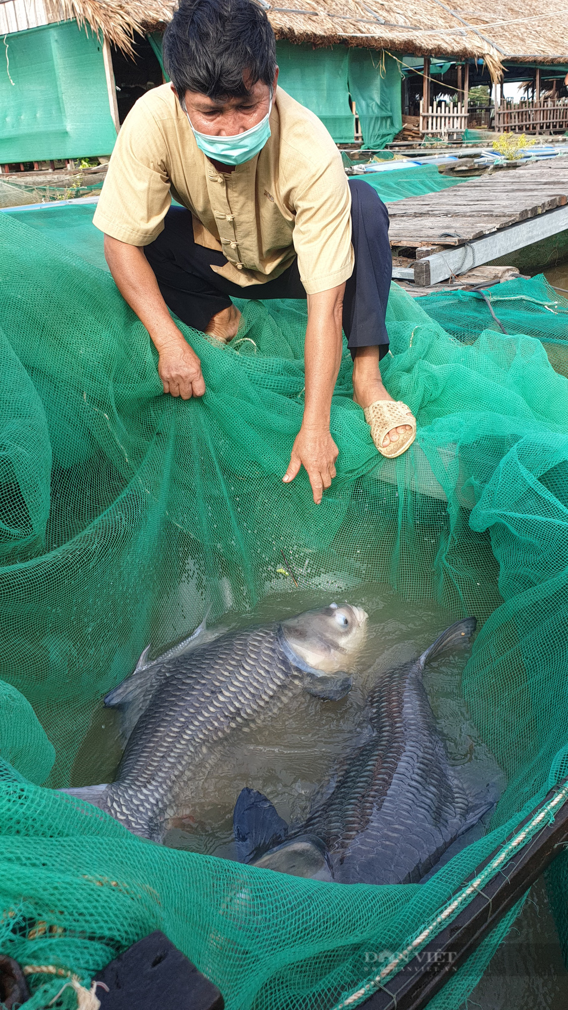 Tỷ phú nông dân nuôi cá quý hiếm ở Cần Thơ 2 lần được Thủ tướng Chính phủ tặng Bằng khen - Ảnh 2.