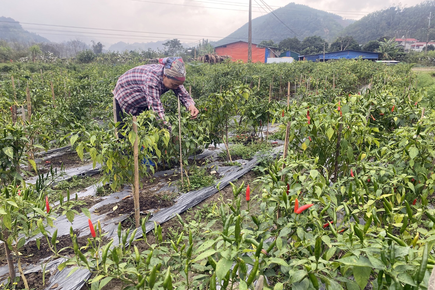 Bài học kinh nghiệm trong xây dựng NTM ở Bắc Kạn - Ảnh 3.