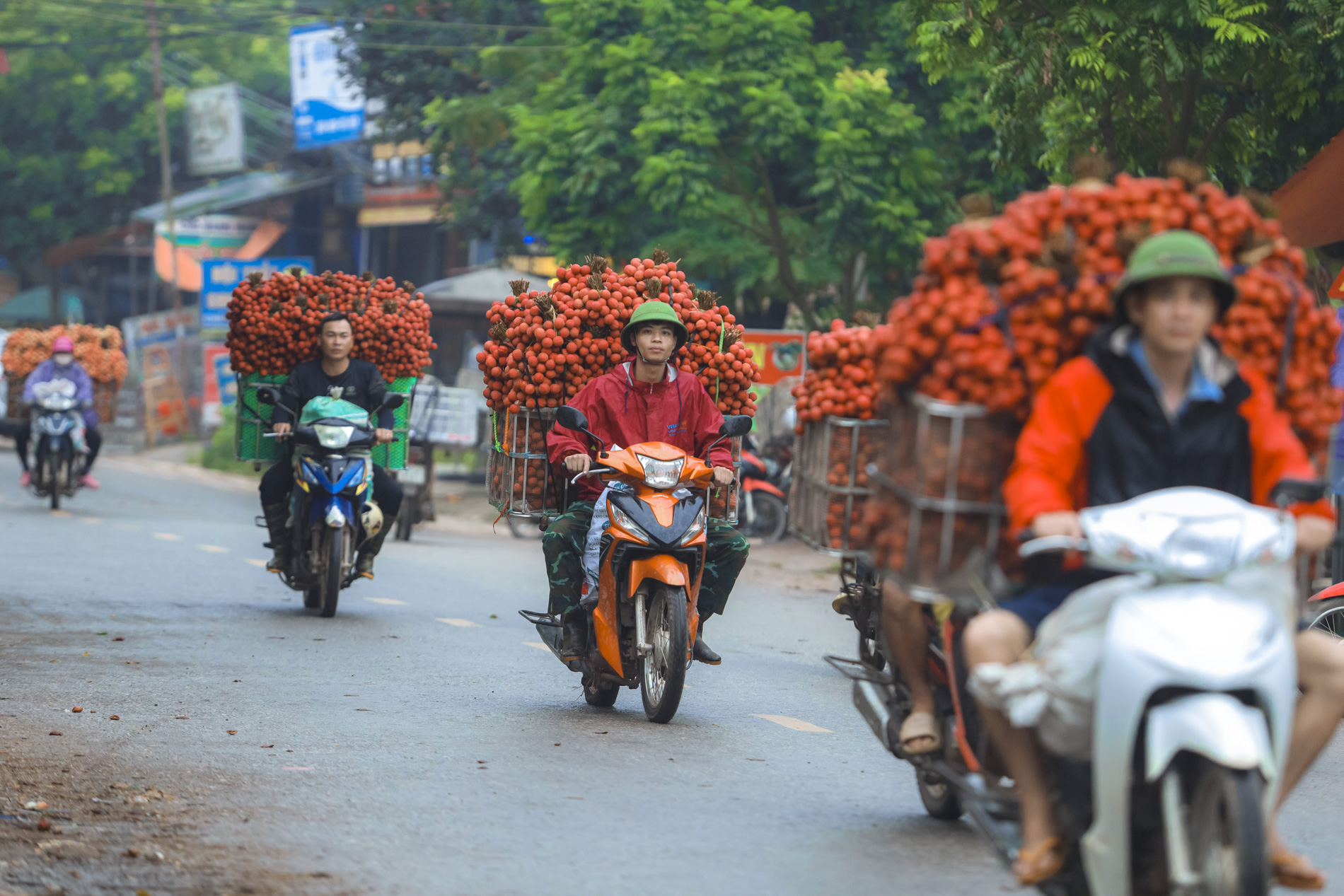Nông dân Bắc Giang trắng đêm thu hoạch vải thiều, chở đi bán từ tờ mờ sáng - Ảnh 22.