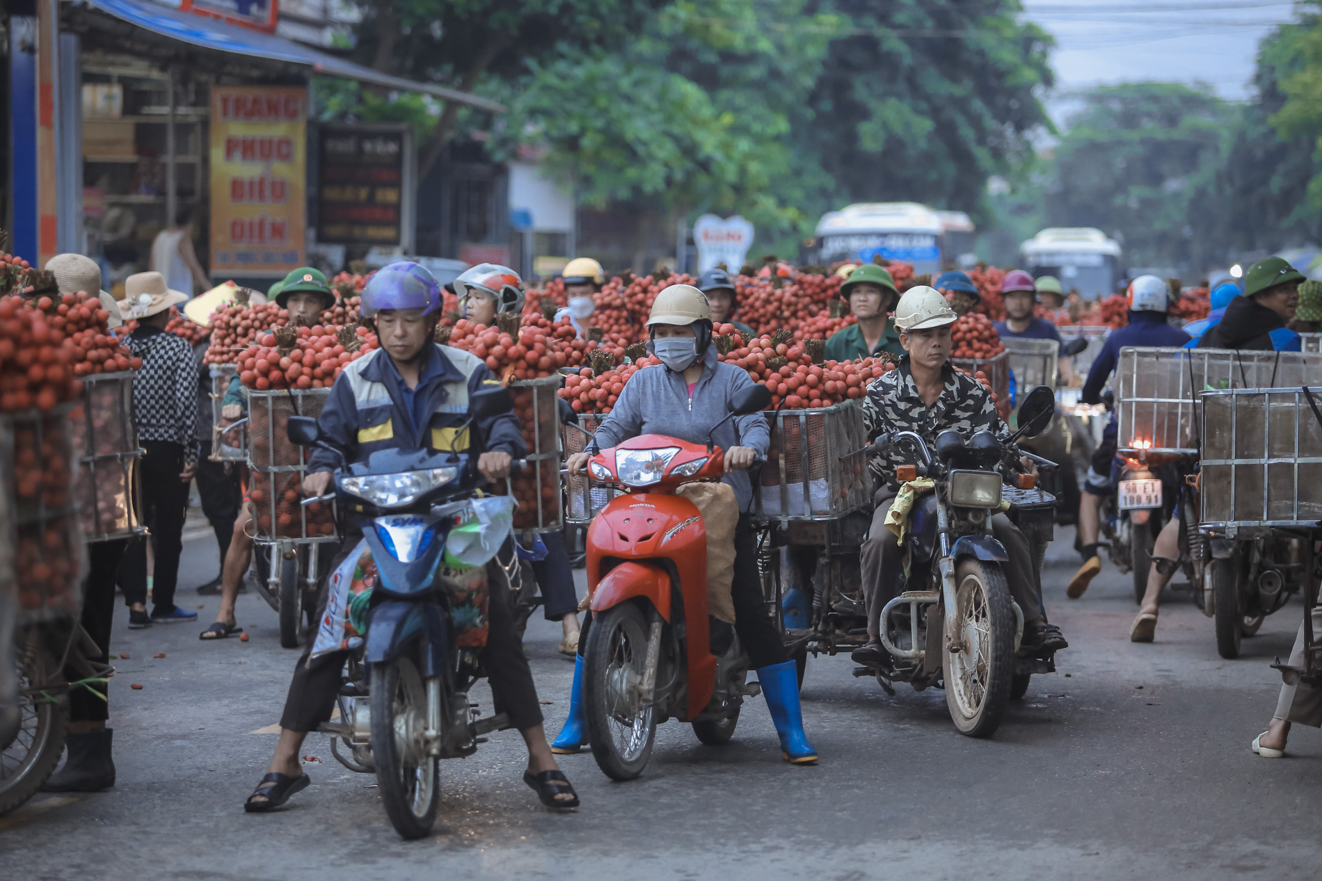 Nông dân Bắc Giang trắng đêm thu hoạch vải thiều, chở đi bán từ tờ mờ sáng - Ảnh 13.