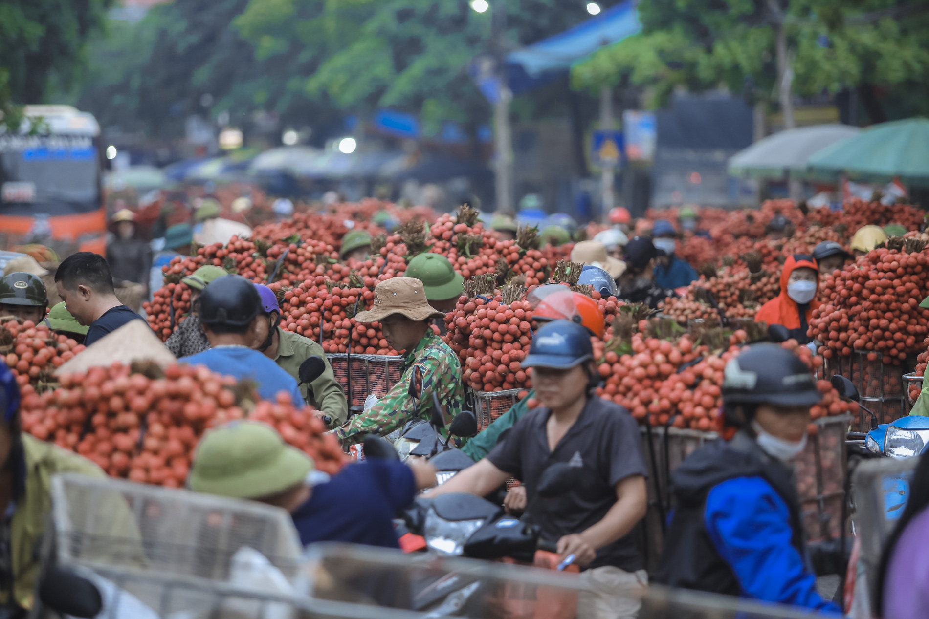 Nông dân Bắc Giang trắng đêm thu hoạch vải thiều, chở đi bán từ tờ mờ sáng - Ảnh 15.