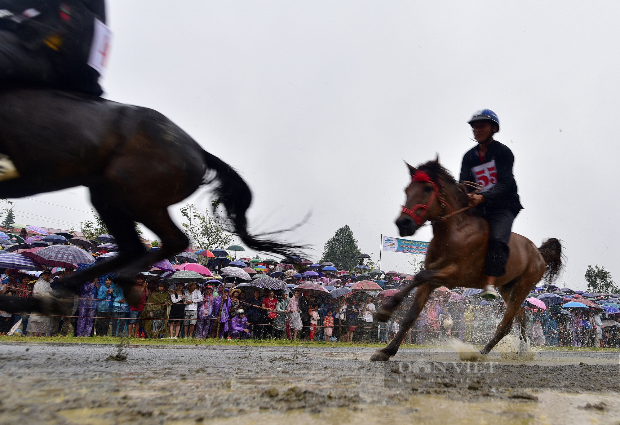 Đặc sắc đua ngựa lễ hội Bắc Hà - Di sản văn hóa phi vật thể cấp quốc gia - Ảnh 3.