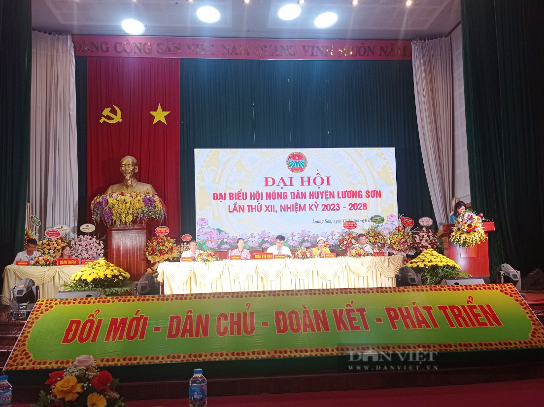 Đại hội Hội Nông dân huyện Lương Sơn (Hòa Bình): Nông dân đóng góp 2,5 tỷ xây dựng NTM - Ảnh 1.