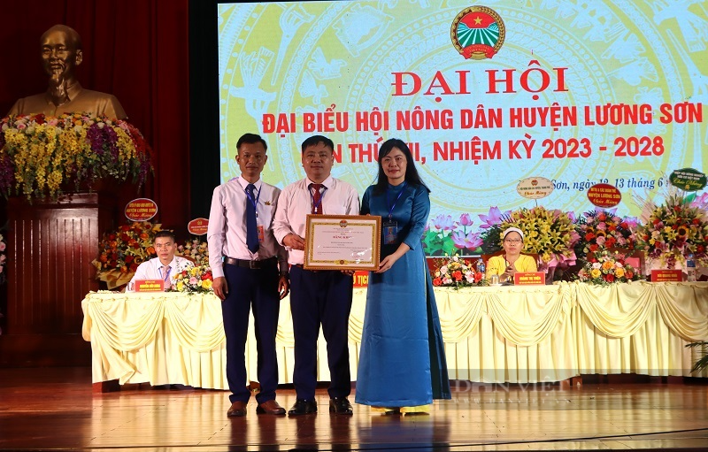 Đại hội Hội Nông dân huyện Lương Sơn (Hòa Bình): Nông dân đóng góp 2,5 tỷ xây dựng NTM - Ảnh 3.
