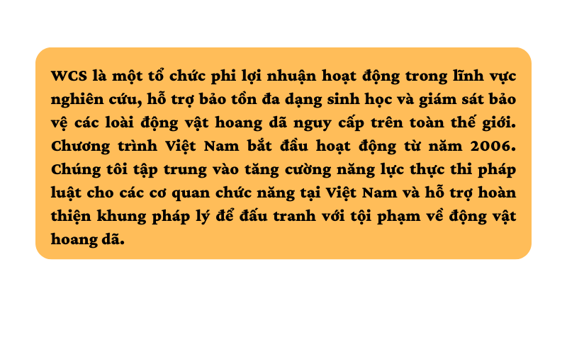 Bài cuối: Bảo vệ động vật hoang dã: &quot;Chỉ cần chúng ta muốn là sẽ làm được&quot; - Ảnh 3.