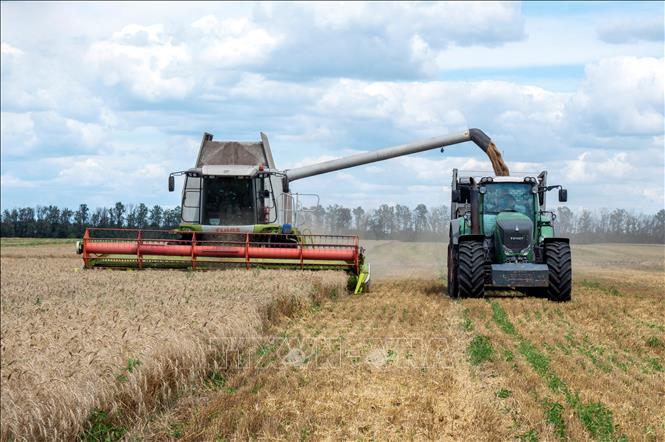Ngành nông nghiệp của Ukraine có thể mất 20 năm để phục hồi - Ảnh 1.