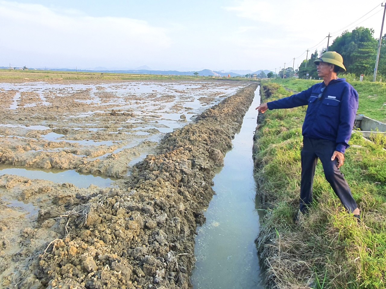 Chủ tịch UBND tỉnh Quảng Bình chỉ đạo kiểm tra, xử lý vụ một doanh nghiệp phá ruộng của nông dân - Ảnh 1.