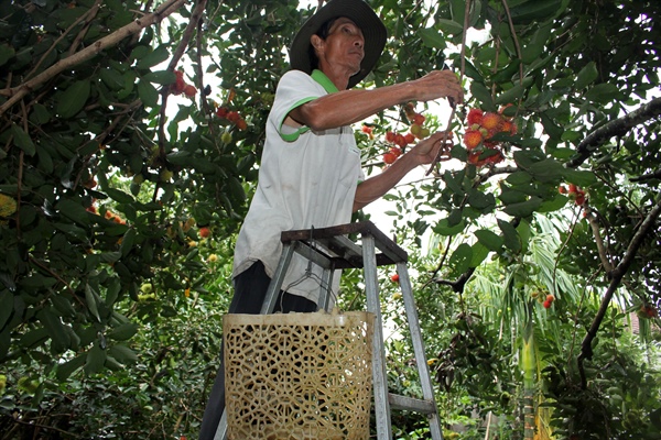 Nông dân phát triển kinh tế “nhờ” làm du lịch - Ảnh 2.