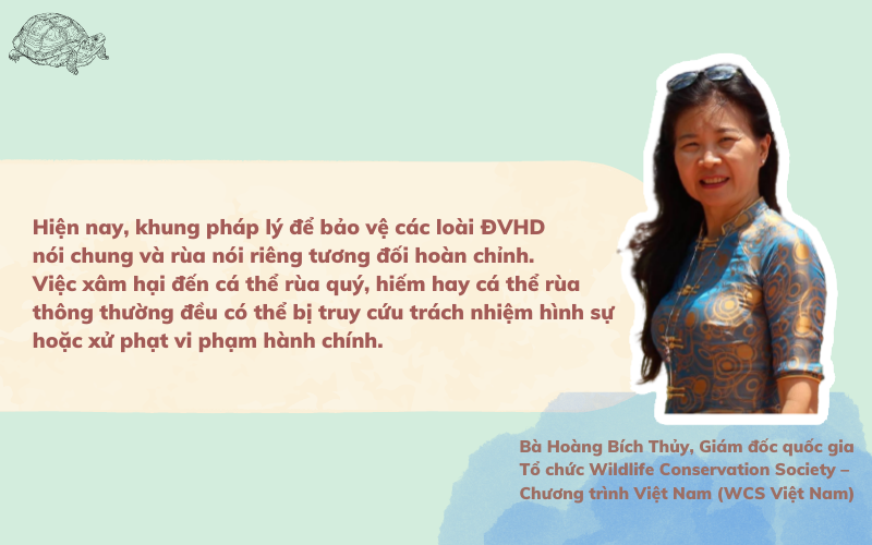 Bài cuối: Bảo vệ động vật hoang dã: &quot;Chỉ cần chúng ta muốn là sẽ làm được&quot; - Ảnh 2.