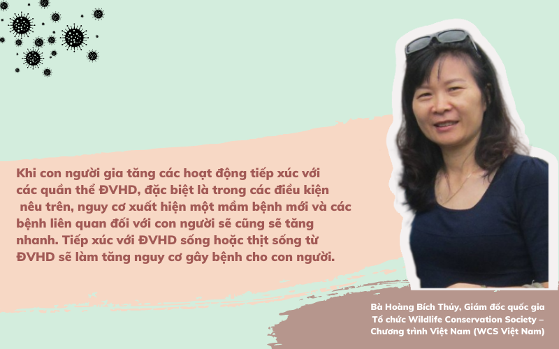 Bài cuối: Bảo vệ động vật hoang dã: &quot;Chỉ cần chúng ta muốn là sẽ làm được&quot; - Ảnh 5.