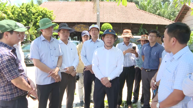 Thuê đất xong để “ngắm”, chủ khu du lịch Sa Huỳnh bị tỉnh Quảng Ngãi thu hồi  hơn 3 ha - Ảnh 3.