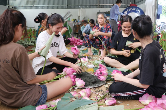 Chuyện về người đàn ông ngoại thành Hà Nội biến cánh đồng hoang, kiếm tiền tỷ từ hoa sen - Ảnh 5.