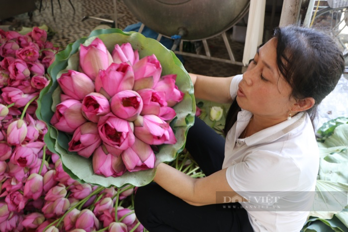 Chuyện về người đàn ông ngoại thành Hà Nội biến cánh đồng hoang, kiếm tiền tỷ từ hoa sen - Ảnh 12.