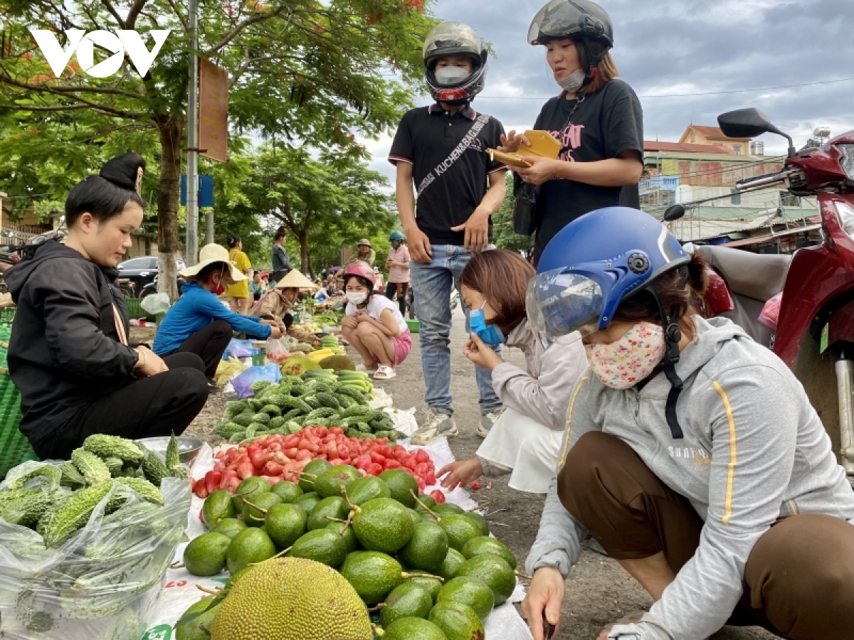 Hoa quả Sơn La rộn ràng xuống phố - Ảnh 10.