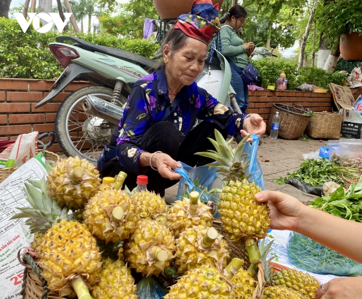 Hoa quả Sơn La rộn ràng xuống phố - Ảnh 11.